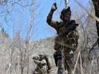 Fırat Kalkanı bölgesinde 2 PKK'lı öldürüldü