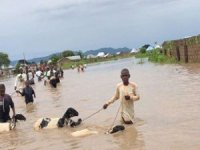 Nijerya'da sel: 600'den fazla kişi öldü