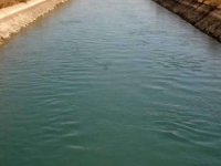 Şanlıurfa'da sulama kanalına düşen 2 çocuk boğuldu