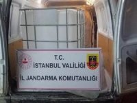 İstanbul'da 12 ton etil alkol ele geçirildi