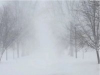 ABD'de etkili olan ağır kış şartları hayatı olumsuz etkiliyor