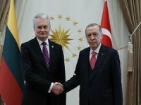 Cumhurbaşkanı Erdoğan, Litvanya Cumhurbaşkanı Nauseda ile görüşü