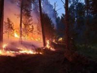 Rusya’da orman yangını