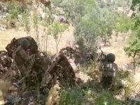 Zeytin Dalı bölgesinde 2 PKK/YPG'li öldürüldü