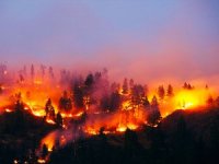 Kazakistan'da orman yangını: 3 kişi öldü