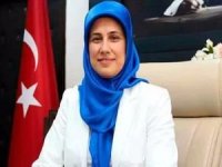 Kızılay Başkanlığı'na Prof. Dr. Fatma Meriç Yılmaz getirildi