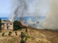 Buğday tarlasındaki yangın 50 dönümlük araziye zarar verdi