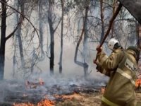 Kazakistan'da orman yangını: 14 işçi öldü