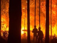 Orman yangınlarında ölenler için ulusal yas ilan edildi