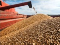 Rusya tahıl koridoru anlaşmasını durdurdu