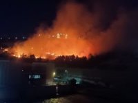 Şanlıurfa'da ormanlık alanda yangın