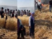 Diyarbakır'da 40 dönüm ekili alan yandı