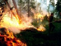 Sinop'ta yıldırım düşmesi sonucu ormanlık alanda yangın