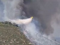 Milas’taki yangında 170 hektar alan küle döndü