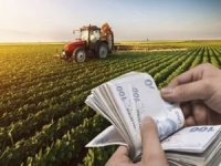 Tarımsal destek ödemeleri çiftçilerin hesaplarına aktarılacak