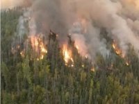 8 ildeki orman yangınlarıyla ilgili 7 şüpheli gözaltına alındı