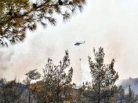 Gülnar’daki orman yangını kontrol altına alındı