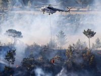 Türkiye orman yangınlarıyla mücadele ediyor
