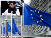 Afganistan İslam Emirliği'nden AB'nin yaptırım kararına tepki