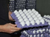 Bakanlık Tayvan'a ihraç edilen yumurtalarla ilgili inceleme başlattı