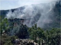 Edirne'deki orman yangını kontrol altına alındı