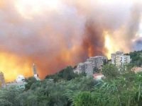 Cezayir'deki orman yangınlarında 15 kişi öldü