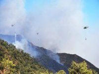 Marmaris'teki orman yangını söndürüldü