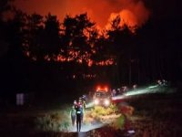 Hatay'daki orman yangını yerleşim yerlerini tehdit ediyor