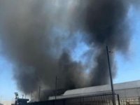 Antalya'da çiçek üretim fabrikasında yangın