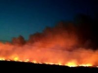 Diyarbakır'da anız yangını: 3 bin dönüm arazi zarar gördü