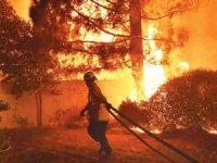 Yunanistan'da orman yangını