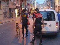 İstanbul'da çeşitli suçlardan aranan 407 şüpheli yakalandı