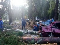 Rusya’da etkili olan şiddetli fırtınada 8 kişi öldü