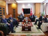 Türkiye ve Mısır arasında sanayide iş birliği