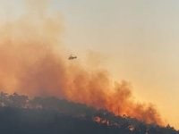 Hatay’da orman yangınına sebebiyet verdiği iddiasıyla 4 kişi yakalandı