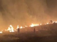 Viranşehir'de korkutan yangın