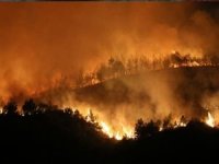 Bingöl'de ormanlık alanda yangın
