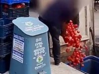 İstanbul Ticaret İl Müdürlüğü'nden çöpe dökülen domateslere ilişkin açıklama