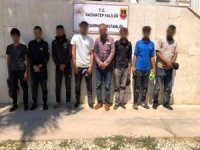 Gaziantep'te göçmen kaçaklığı operasyonu: 13 gözaltı