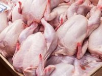 Tavuk fiyatları neden istikrarlı bir şekilde yükseliyor