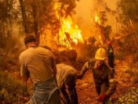 Yunanistan'da orman yangınları 9'uncu gününde
