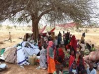 BM'den Sudanlı mülteciler için yardım çağrısı