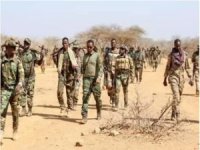 Somali'de El Şebab'a operasyon: 43 ölü