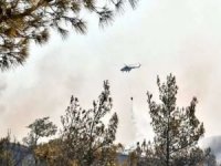 Gaziantep’in Nurdağı ilçesinde çıkan orman yangını söndürüldü