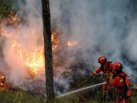 Cezayir’de orman yangınları ile mücadele devam ediyor