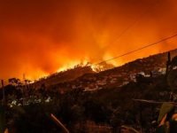 İtalya'da orman yangınları yerleşim yerlerini tehdit ediyor