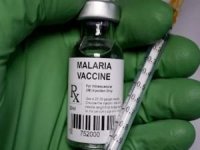 DSÖ'den sıtma aşısı önerisi