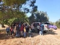 İzmir ve Muğla'da 67 düzensiz göçmen yakalandı
