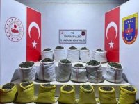 ​​​​​​​Diyarbakır'da 277 bin kök kenevir bitkisi ile 445 kilogram esrar ele geçirildi