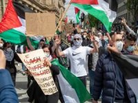 İkiyüzlü Avrupa: Gösteriler Siyonistlere serbest, Filistinlilere yasak